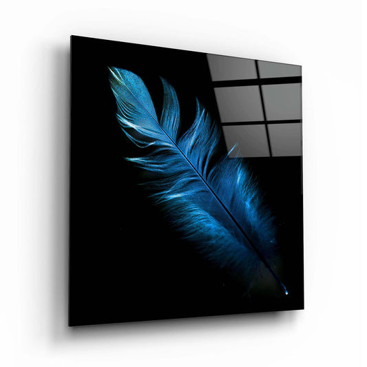 Blue Feather Glass Wall Art