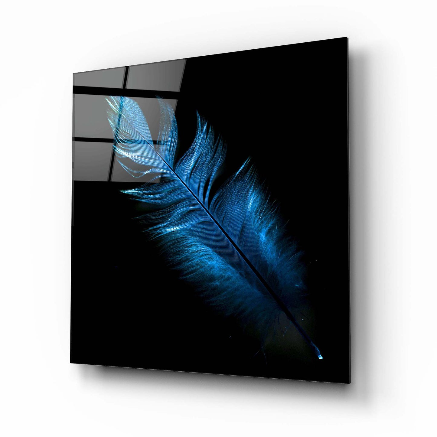 Blue Feather Glass Wall Art
