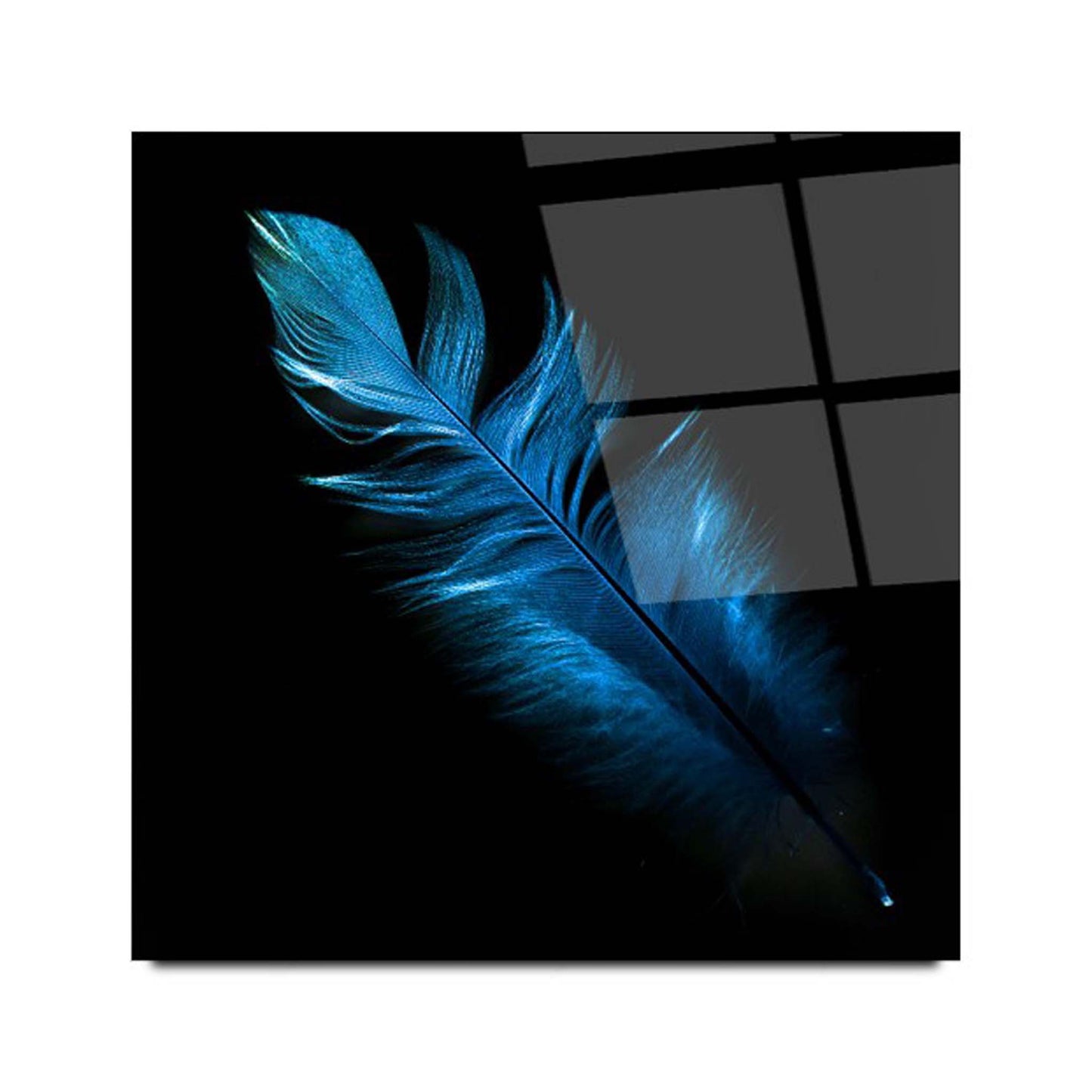 Blue Feather Glass Wall Art