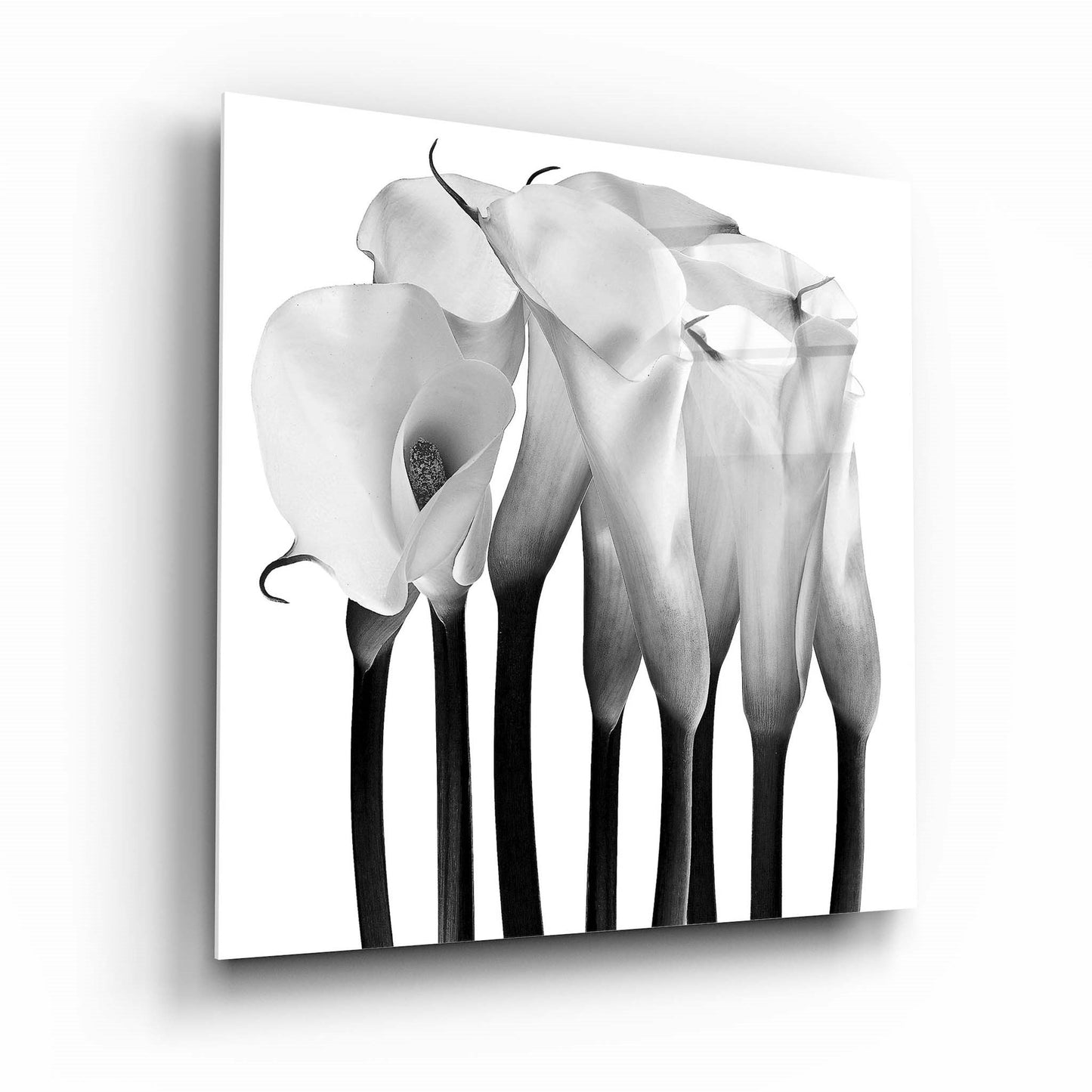 Flowers Glass Wall Art 2