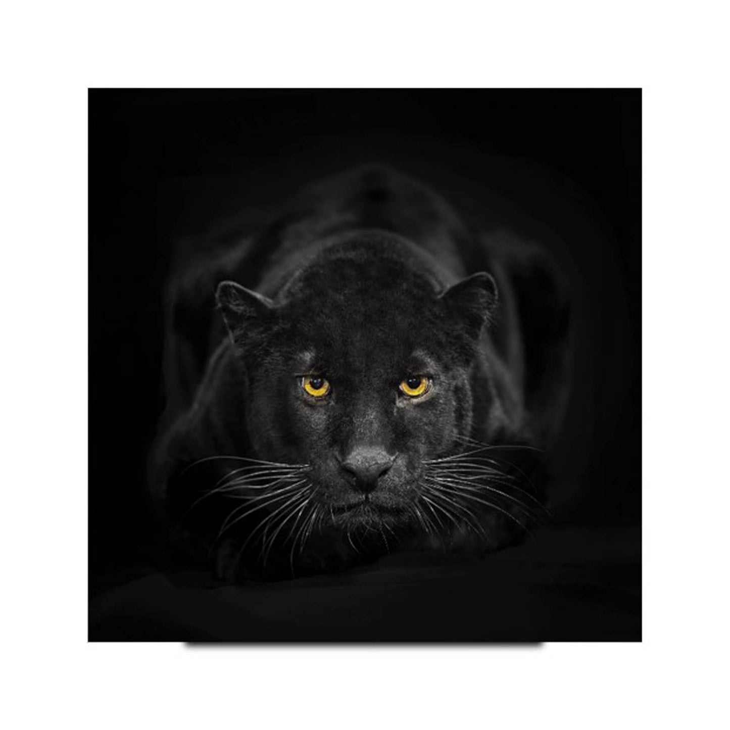 Panther Glass Wall Art